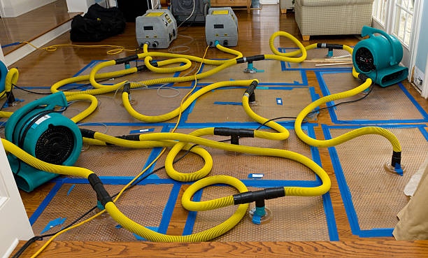 Professional Emergency Water Removal technician working in Grafton, ND